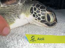 Load image into Gallery viewer, Patient Adoption