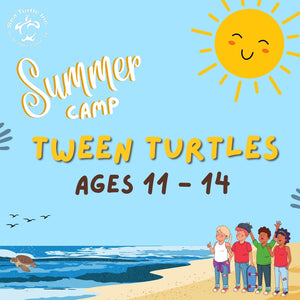 3-Day Summer Camp: Tween Turtles (Ages 11-14)