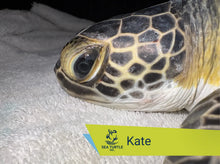 Load image into Gallery viewer, Patient Adoption