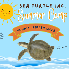 Load image into Gallery viewer, 1-Day Summer Camp