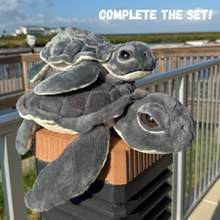 Load image into Gallery viewer, Kemp&#39;s Ridley Biggie