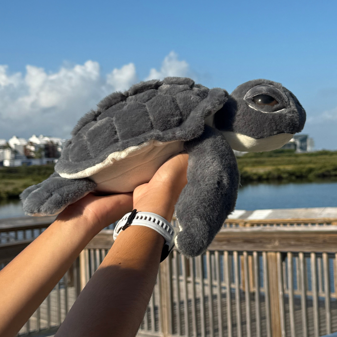 Kemp's Ridley Biggie