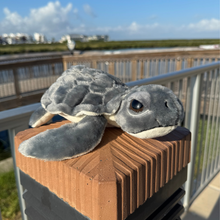 Load image into Gallery viewer, Kemp's Ridley Mini