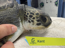 Load image into Gallery viewer, Patient Adoption