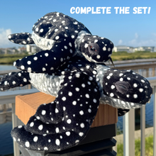 Load image into Gallery viewer, Leatherback Biggie