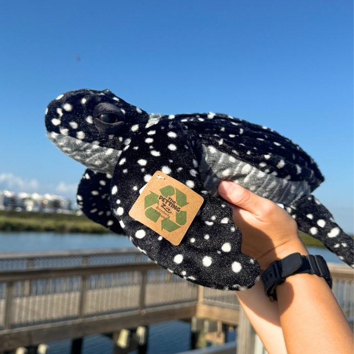 Leatherback Biggie
