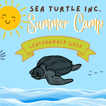Load image into Gallery viewer, 3-Day Summer Camp