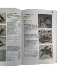 Load image into Gallery viewer, Living Beaches of the Gulf Coast Book