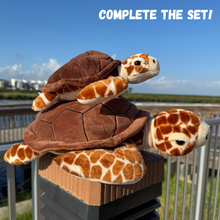 Load image into Gallery viewer, Loggerhead Biggie