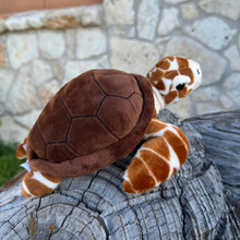 Load image into Gallery viewer, Loggerhead Mini