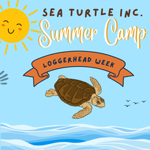 Load image into Gallery viewer, 3-Day Summer Camp
