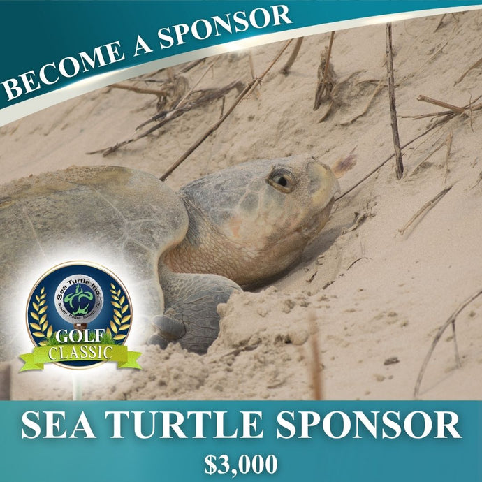 Sea Turtle Sponsor