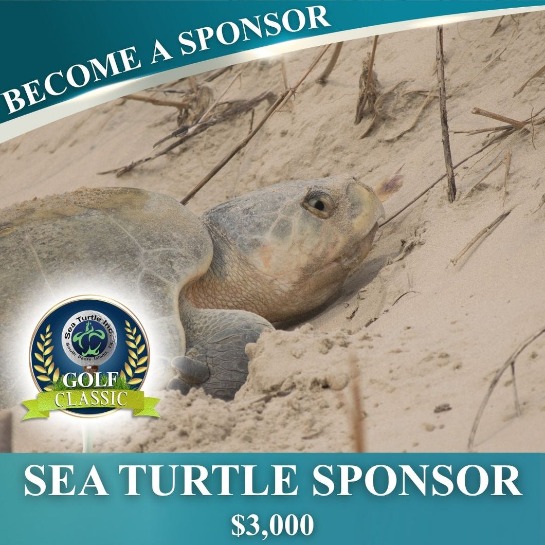Sea Turtle Sponsor