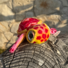 Load image into Gallery viewer, Mango the Big Eyed Sea Turtle