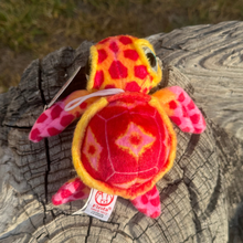 Load image into Gallery viewer, Mango the Big Eyed Sea Turtle