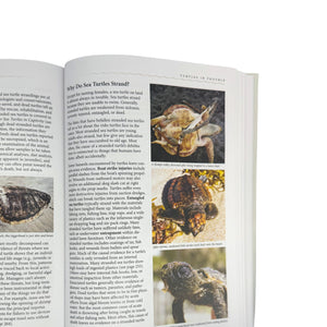 Our Sea Turtles Book
