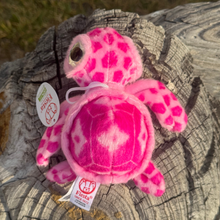 Load image into Gallery viewer, Rosie the Big Eyed Sea Turtle