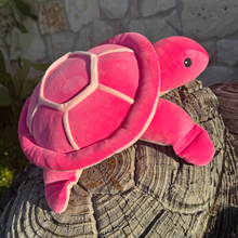 Load image into Gallery viewer, Squishy Rosie the Sea Turtle