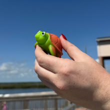 Load image into Gallery viewer, Pop Head Turtle