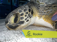 Load image into Gallery viewer, Patient Adoption