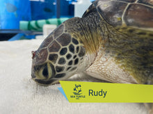 Load image into Gallery viewer, Patient Adoption