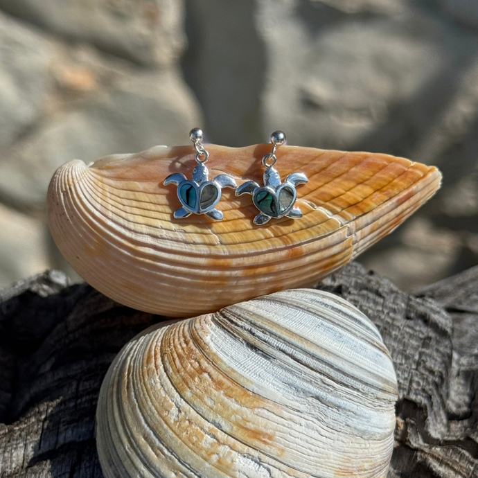 Sterling Silver Paua Drop Earrings