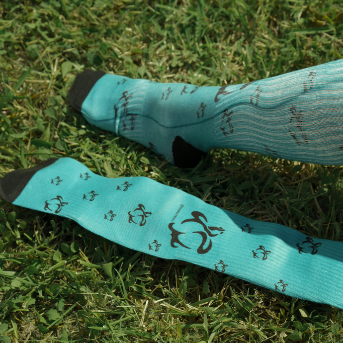 Sea Turtle Inc. Socks - Teal