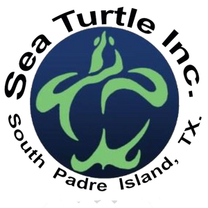 Sea Turtle, Inc.