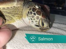 Load image into Gallery viewer, Patient Adoption