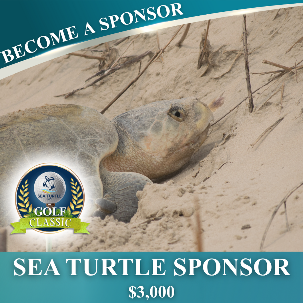 Sea Turtle Sponsor