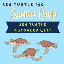Load image into Gallery viewer, 3-Day Summer Camp