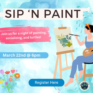 SIP N' PAINT