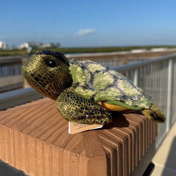 Splish Splash Sea Turtle