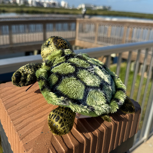 Splish Splash Sea Turtle