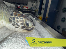 Load image into Gallery viewer, Patient Adoption