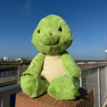 Load image into Gallery viewer, Taj the Turtle