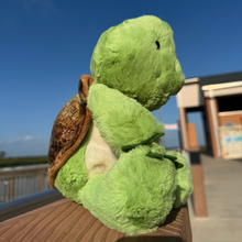 Load image into Gallery viewer, Taj the Turtle