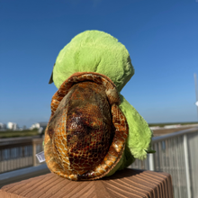 Load image into Gallery viewer, Taj the Turtle