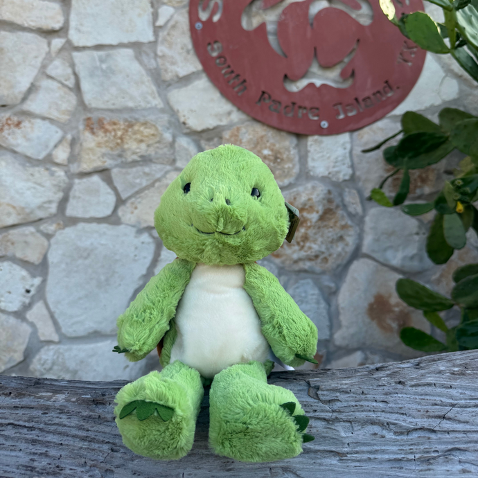 Taj the Turtle