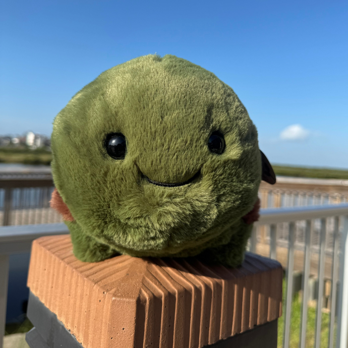 Tony the Turtle