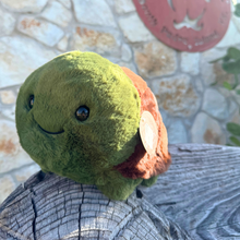 Load image into Gallery viewer, Tony the Turtle