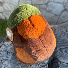 Load image into Gallery viewer, Tony the Turtle