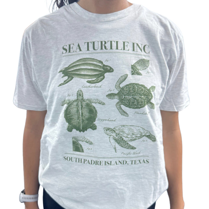 Turtle Illustrations Tee
