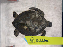 Load image into Gallery viewer, Patient Adoption