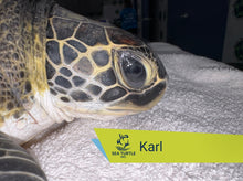 Load image into Gallery viewer, Patient Adoption