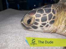 Load image into Gallery viewer, Patient Adoption