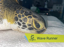 Load image into Gallery viewer, Patient Adoption