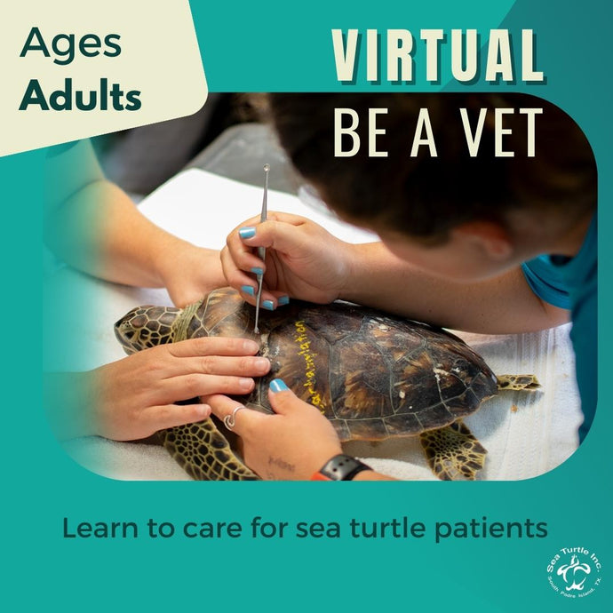 Virtual Be a Vet:  Adults