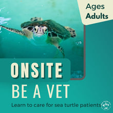 Load image into Gallery viewer, Be a Vet:  Adults Onsite