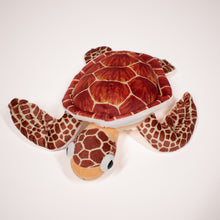 Load image into Gallery viewer, Small Loggerhead Stuffed Animal